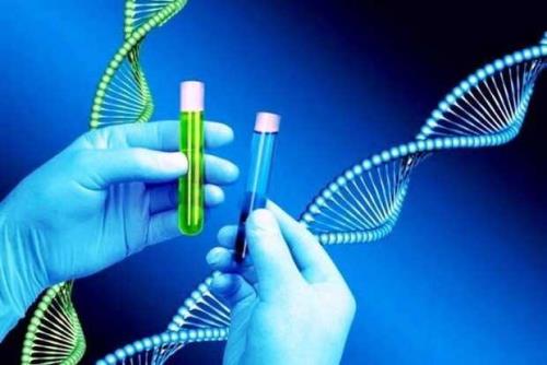 افتتاح اولین آزمایشگاه ژنتیك استان مركزی در اراك