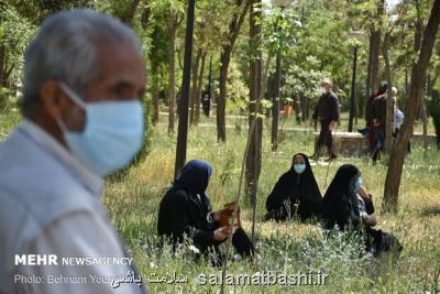 خطر عفونت ها برای بیماران آلزایمری