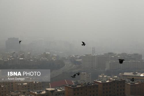 ۱۰ نکته ضروری برای حفظ سلامتی در وضعیت هوای آلوده