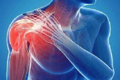 کمبود هورمون های جنسی ریسک پارگی تاندون کتف را بیشتر می کند