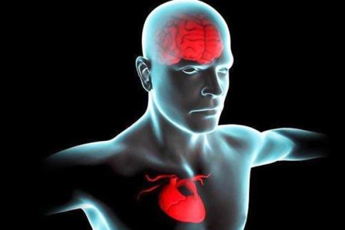 شاخصهای پرخطر قلبی با ریسک مبتلاشدن به زوال عقل مرتبط هستند