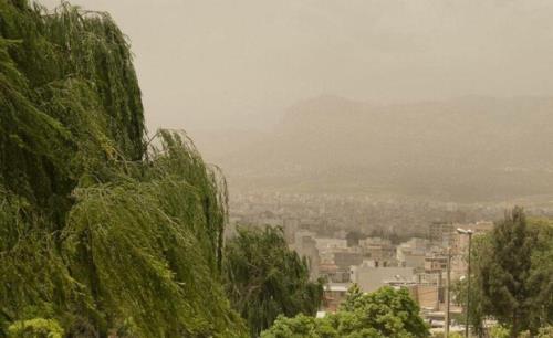 شاخصهای محیطی ریسک مرگ را پیش بینی می کنند