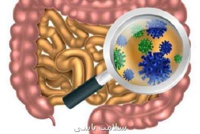 ارتباط بین باکتری های روده و بیماری افسردگی