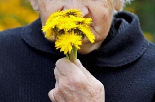 کاهش حس بویایی در سالمندان می تواند نشانه شروع ضعف و ناتوانی باشد