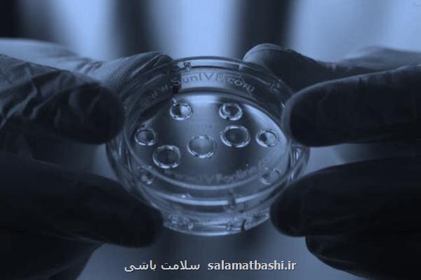 فریز تخمک پلی بین زمان حال و حاملگی مطمئن در آینده