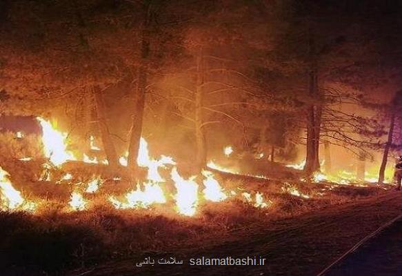 آتشسوزی های جنگلی خطر آنفولانزا و کووید19 را می افزایند