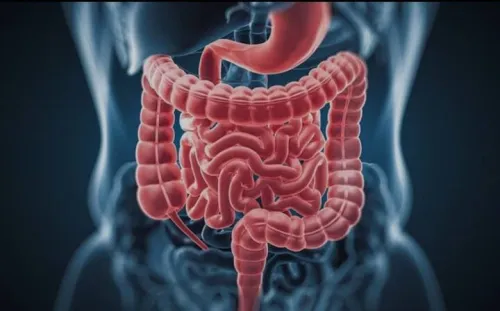 شیوع مشکلات گوارشی در دوران یائسگی