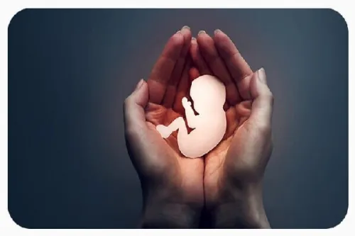 آمار سقط جنین در کشور 30 برابر تلفات تصادف!