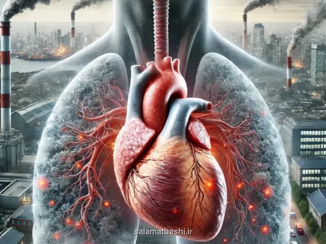 ویتامین های مفید برای مواجهه با آلودگی هوا