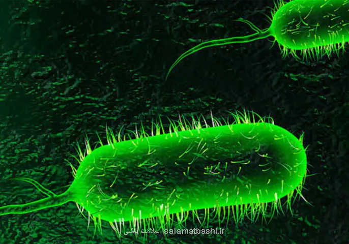 جزییات تازه از موارد وبا در کشور 2 زن و 3 مرد مبتلا شدند