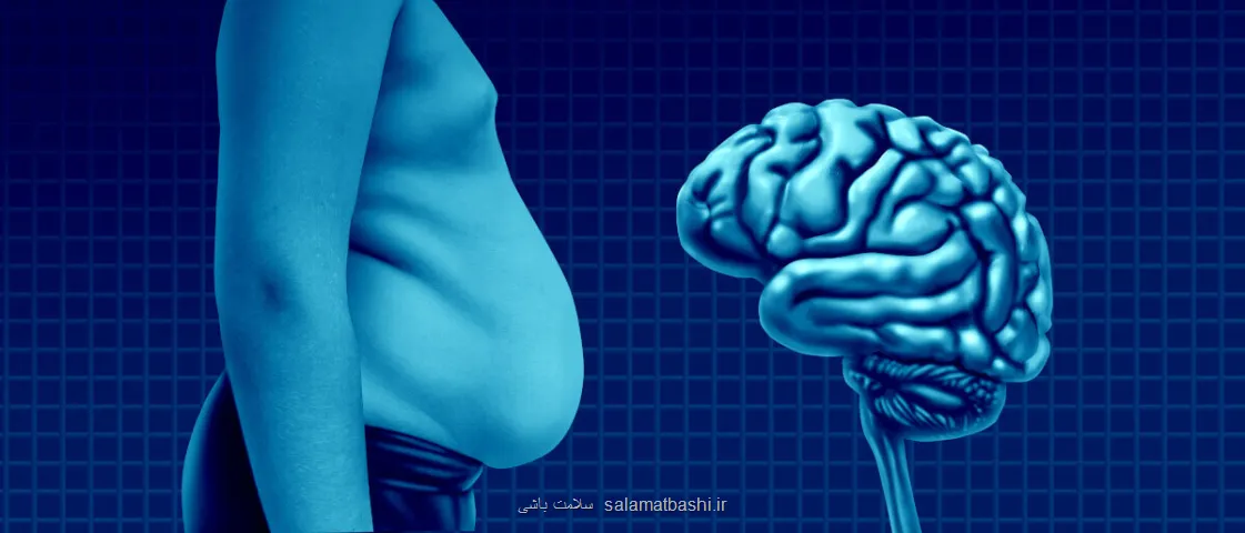 کاهش چربی شکمی می تواند مغز را دهه ها جوان تر نگه دارد