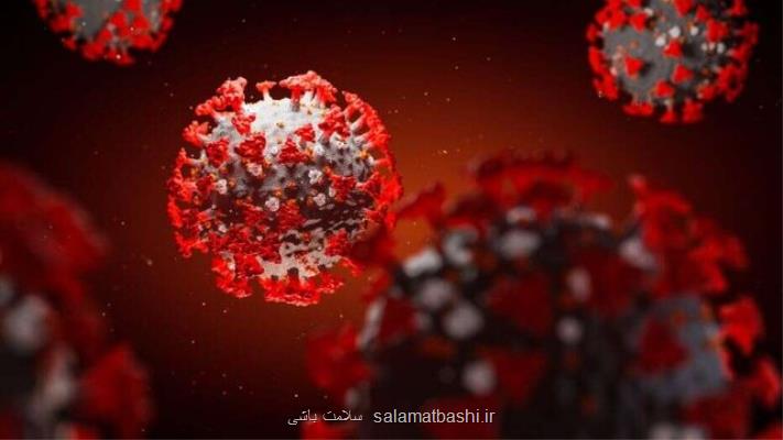 آمار مبتلایان به كرونا در امارات از مرز 41 هزار نفر گذشت