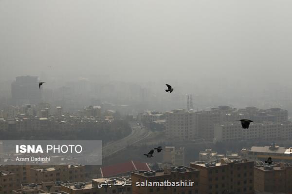 لطمه بالای مازوت برای سلامت در بحران كرونا